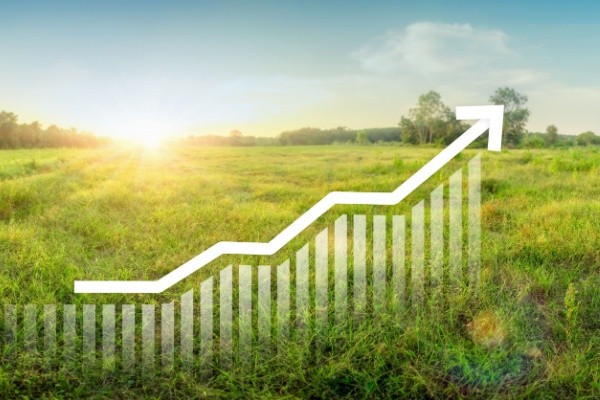 Taxe sur la cession à titre onéreux d’un terrain nu devenu constructible : du nouveau pour 2025 !