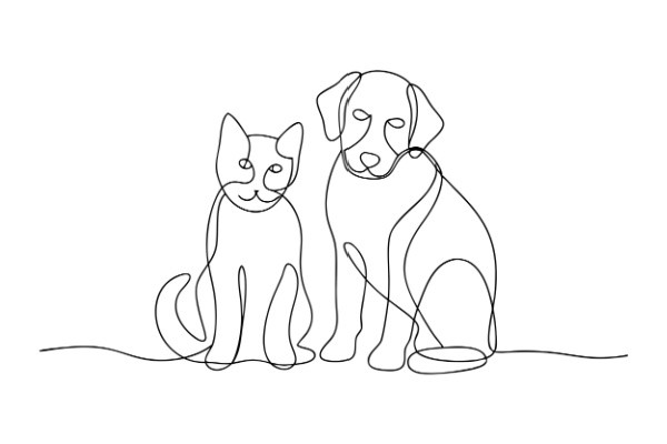 Activités liées aux animaux de compagnie : une réglementation partiellement décalée…