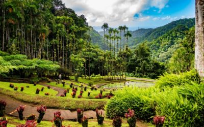 Impôts et taxes en Outremer : ce qui va changer en 2026