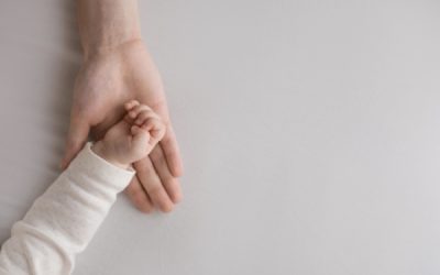 Revalorisation du complément de libre choix du mode de garde des enfants de moins de 6 ans