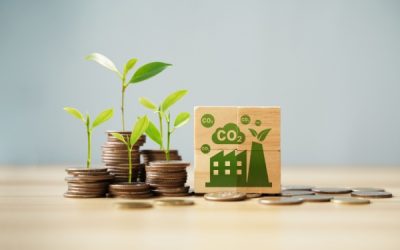 Crédit d’impôt « Haute Valeur Environnementale » : on joue les prolongations !