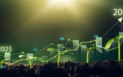 Production biologique : un crédit d’impôt prolongé