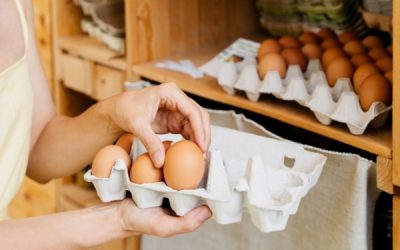 Commercialisation des œufs : précisions pour le marché français