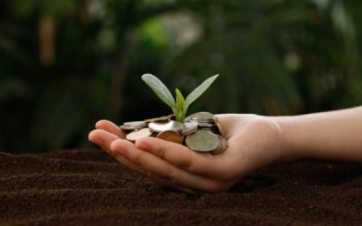 Politique agricole commune : évolutions concernant l’éligibilité aux aides financières