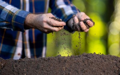 Produits fertilisants : une définition commune des usages