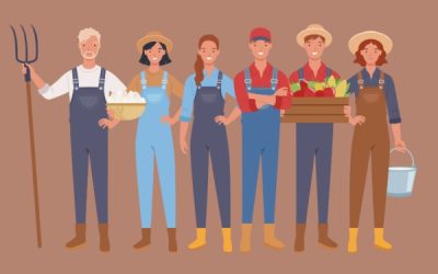 Retraite des non-salariés agricoles : nouvelles précisions