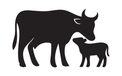 Secteur agricole : le point sur les aides en juin 2026