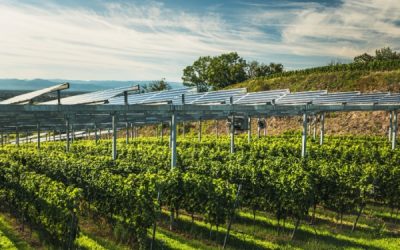 Simplification de la vie économique : faciliter l’innovation industrielle