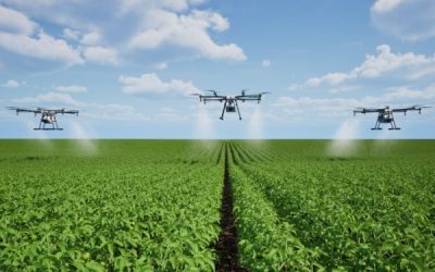 Produits phytosanitaires : détails sur la pulvérisation par drone