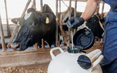 Insémination artificielle : harmonisation des démarches