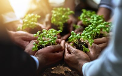 Soutien aux exploitations agricoles en difficultés : des aides possibles
