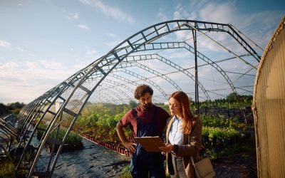 Installation agricole : ce qui change pour la protection sociale et les stages