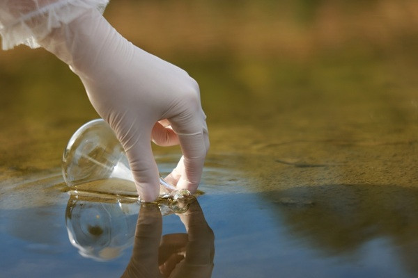 Qualité de l’eau en Bretagne : mise en place d’une expérimentation pour le secteur agricole