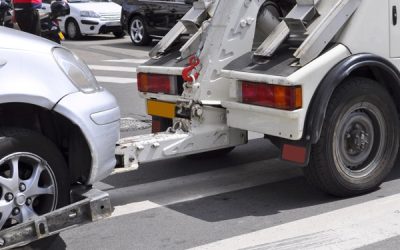 Frais de fourrière : une actualisation des montants maximaux exigibles ?
