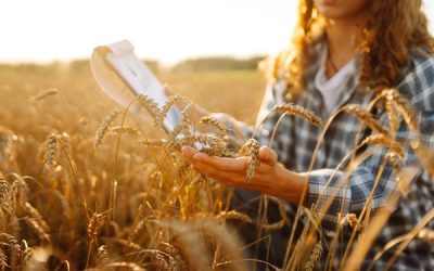 Non-salariés agricoles : des nouvelles règles sociales précisées