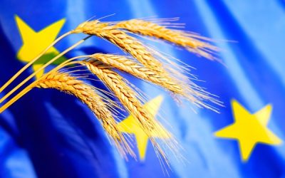 Bonnes conditions agricoles et environnementales : une nouvelle définition de la haie