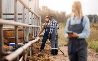 Maladies professionnelles agricoles : les conditions de diagnostic sont simplifiées